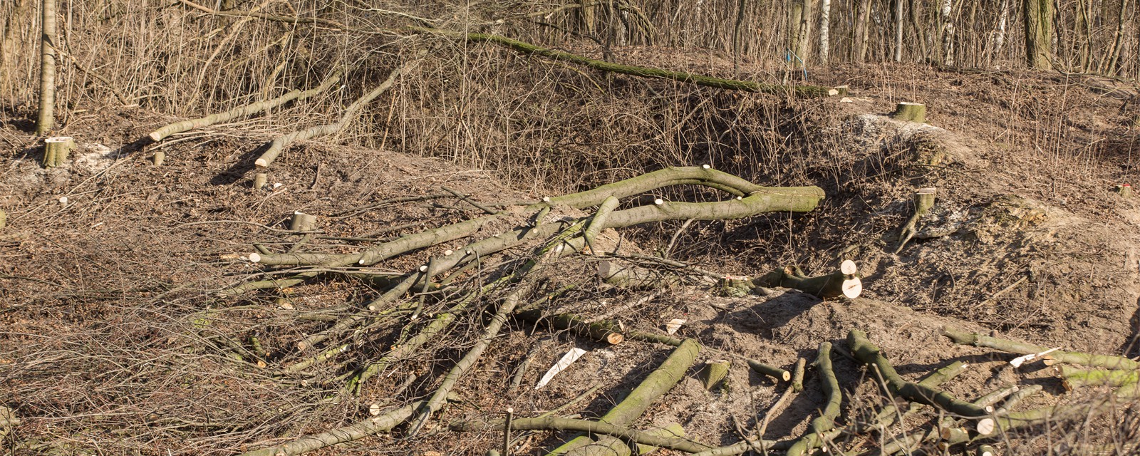 AdobeStock_102614661